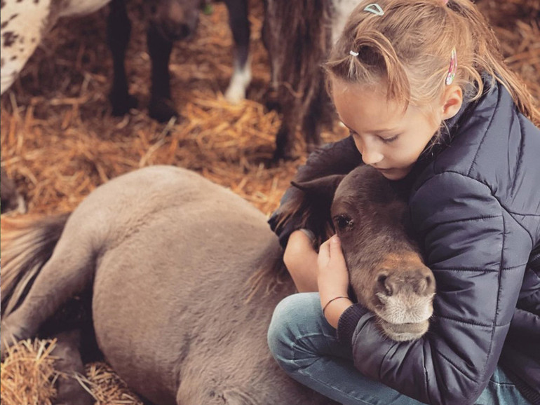 Accudire un mini pony per accrescere l’autostima. Ecco cosa succede alla Mini Pony Summano di Piovene Rocchette