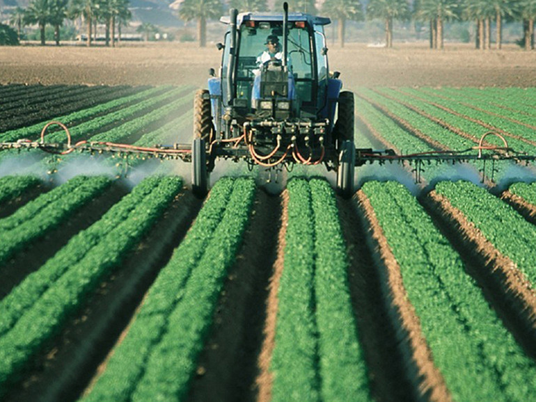 Agricoltura, equilibrio e rispetto per avere un futuro. La grande complessità della produzione alimentare impronte sempre di più una grande attenz...