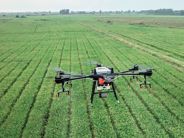 Agroalimentare sempre più globale. Uno sciopero oltreoceano ha rischiato di bloccare i commerci di mezzo mondo