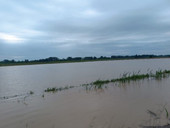 Alluvione in Veneto. Zaia: “Fenomeno eccezionale”. Dichiarato lo stato di emergenza