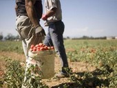 Almeno 10 mila lavoratori agricoli migranti vivono in 150 insediamenti informali in Italia