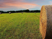 Campagne abbandonate? L’agricoltura e la vita rurale soffrono spesso di un divario tecnologico e infrastrutturale che deve essere colmato