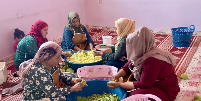 Cooperazione. Da Padova a Kobane: l'Orto di Marco, ODV Padovana, sostiene le donne siriane