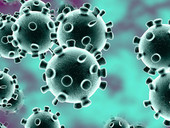Coronavirus Covid-19: in Italia attualmente 268.145 persone positive. +3.224 nuovi casi