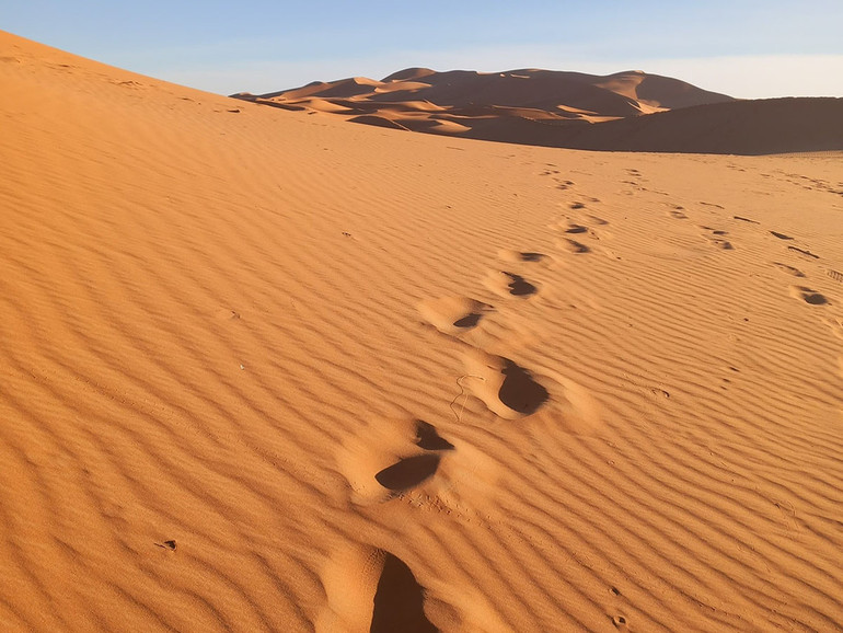 Il deserto: un’esperienza da fare, specie in Avvento. «Ti condurrò nel deserto e là parlerò al tuo cuore»