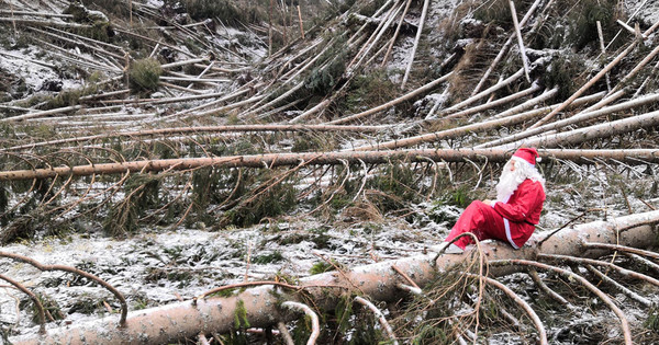 Immagini Natale Natura.Il Natale Che Non Vorremmo Storie Di Uomini E Natura