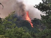 Incendi in Calabria: mons. Bertolone (Cec), “i piromani sono assassini ambientali, ma le istituzioni devono fare di più per fermare il fuoco”