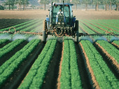 L’agricoltura “eroica” delle aree interne. Circa metà della superficie agricola produttiva è collocata in zone difficili. Il richiamo di Mat...