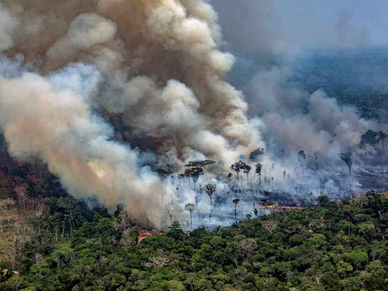 L’Amazzonia brucia. Il polmone verde del pianeta sta soffocando