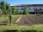 L’orto è nel monastero. Giovani dai 14 ai 18 anni lavoreranno un'area verde dentro le mura delle clarisse di san Bonaventura