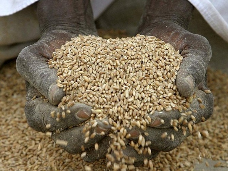 La fame colpisce una persona su 11. In Africa, una su 5. Rapporto Onu