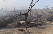 Le fiamme hanno distrutto il campo profughi di Moria a Lesbo