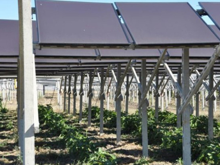 Papa Francesco: un impianto agrivoltaico per “sostentamento energetico” dello Stato della Città del Vaticano