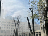 Ucraina: Soleterre, colpito ospedale pediatrico Okhmatdyt a Kiev. Rizzi, “inaccettabile, proteggere spazio umanitario”