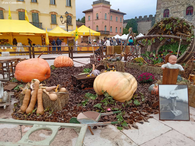 Zucca, annata di qualità e pazienza per la quantità